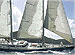 TABOO Charter Yacht