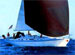 GRAUNYA Charter Yacht