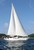 IBIS Charter Yacht